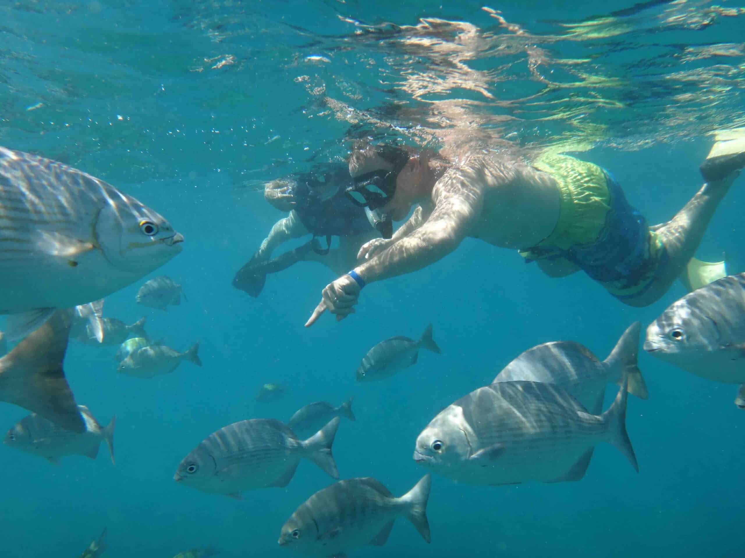 Cabo Transfers Cabo Tours Mobile Page Header scaled.jpeg