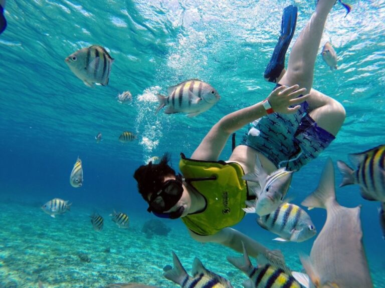 Tour de Snorkel 2 1.jpeg