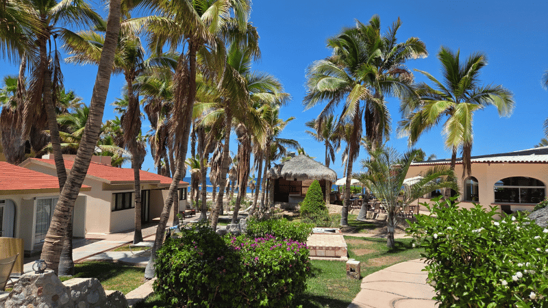 cabo transfers losbarriles location mobile.png